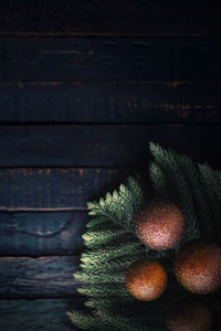 Close-up of fruits on table