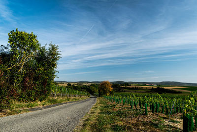 Empty road amidst agricultural field against sky