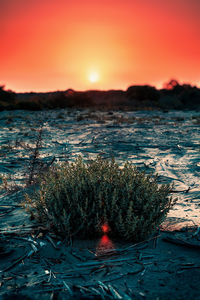 Scenic view of sunset over land