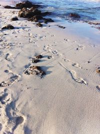 Scenic view of beach