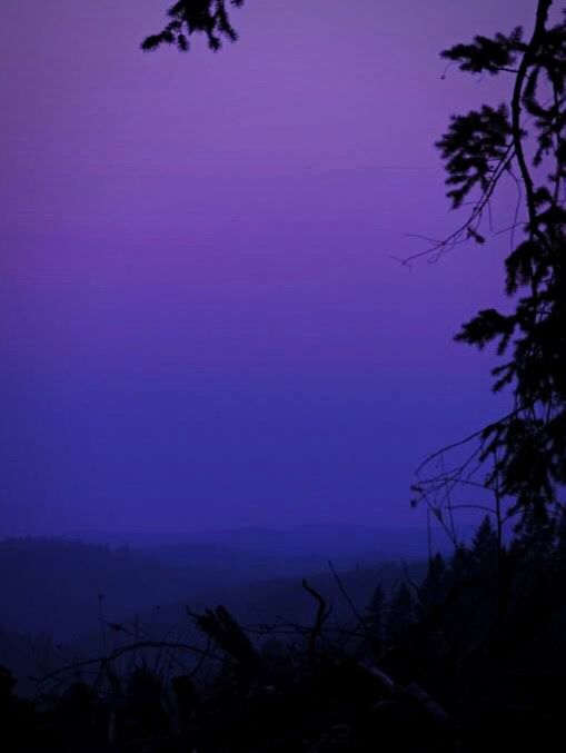 night, silhouette, nature, purple, no people, outdoors, beauty in nature, scenics, tree, sky