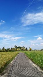 Road amidst landscape against blue sky