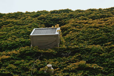 Low angle view of air conditioner on ivy covered house