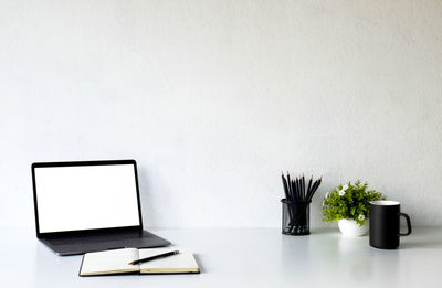 Potted plant on table against white background