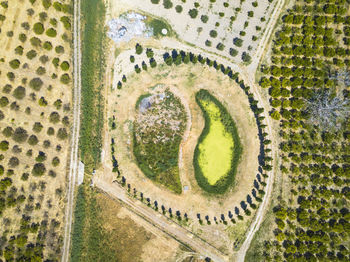 Aerial view of ball