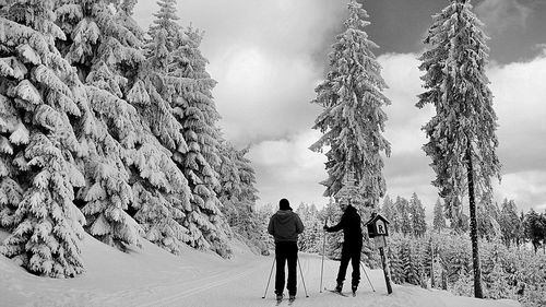 People standing on snow covered landscape