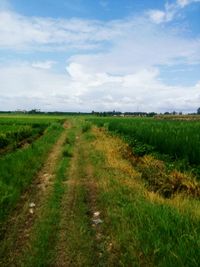 Scenic view of grassy field against cloudy sky