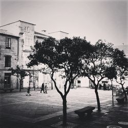 View of built structure with trees in background