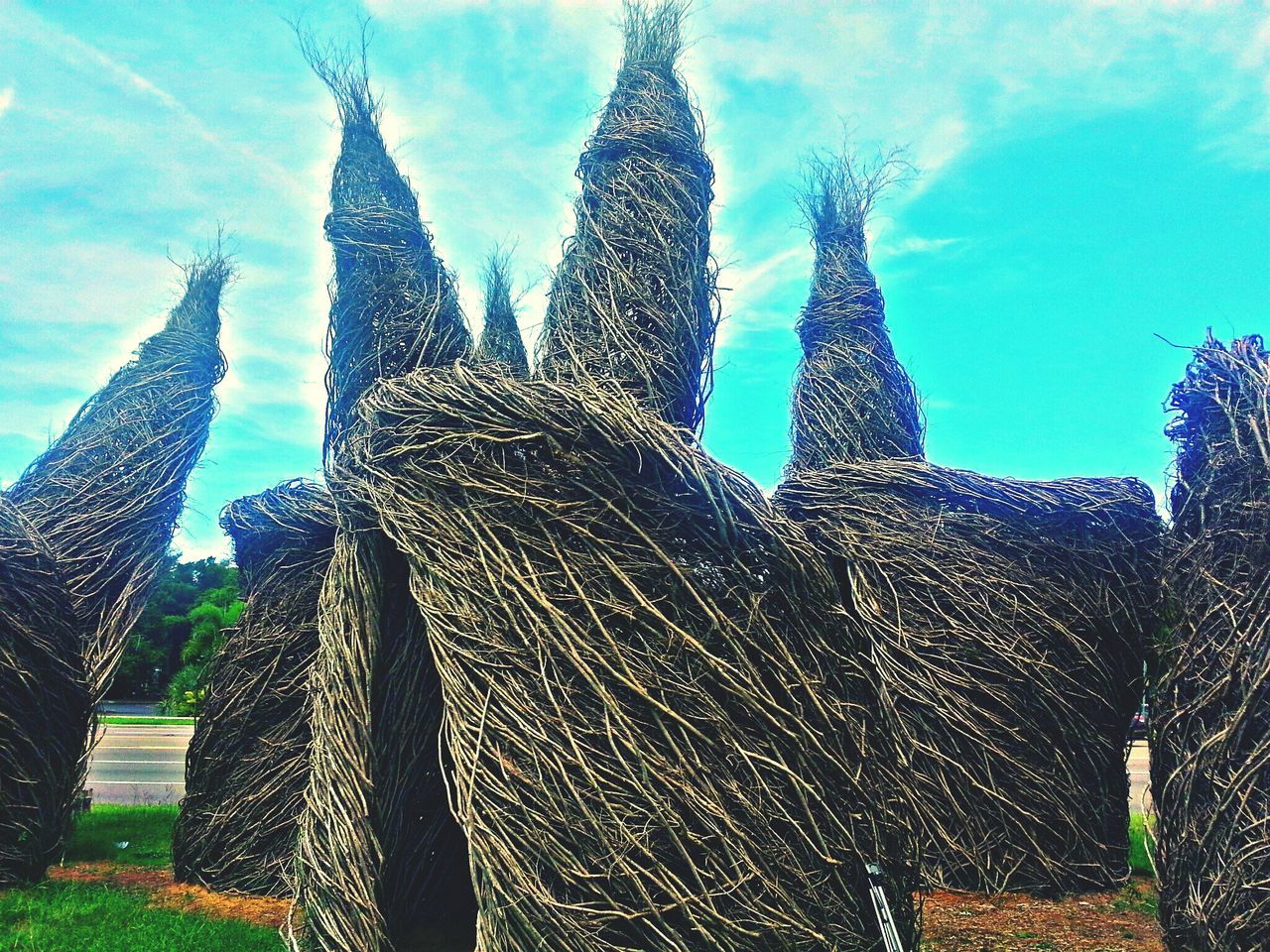 low angle view, blue, sky, building exterior, tree, built structure, architecture, growth, sunlight, day, outdoors, nature, tall - high, religion, no people, tree trunk, palm tree, cloud, cloud - sky