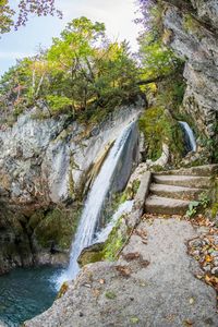 Scenic view of waterfall in forest