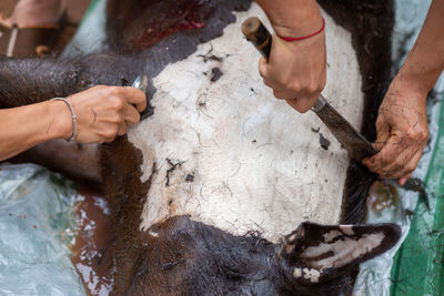High angle view of woman holding hands