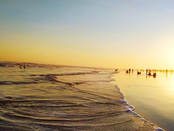 People on beach against clear sky during sunset