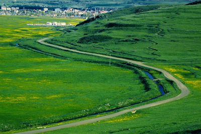 Scenic view of agricultural field