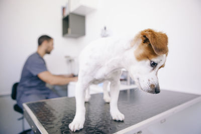 Man with dog standing on white background