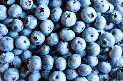 Full frame shot of blueberries
