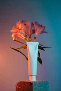 Close-up of flower vase