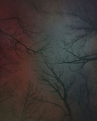 Low angle view of bare tree against sky