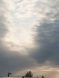 Low angle view of trees against sky