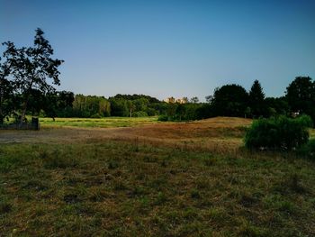 Scenic view of field against clear sky