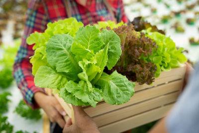 Midsection of woman holding leaves