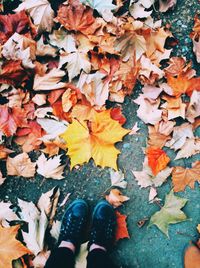 Low section of man standing on autumnal leaves