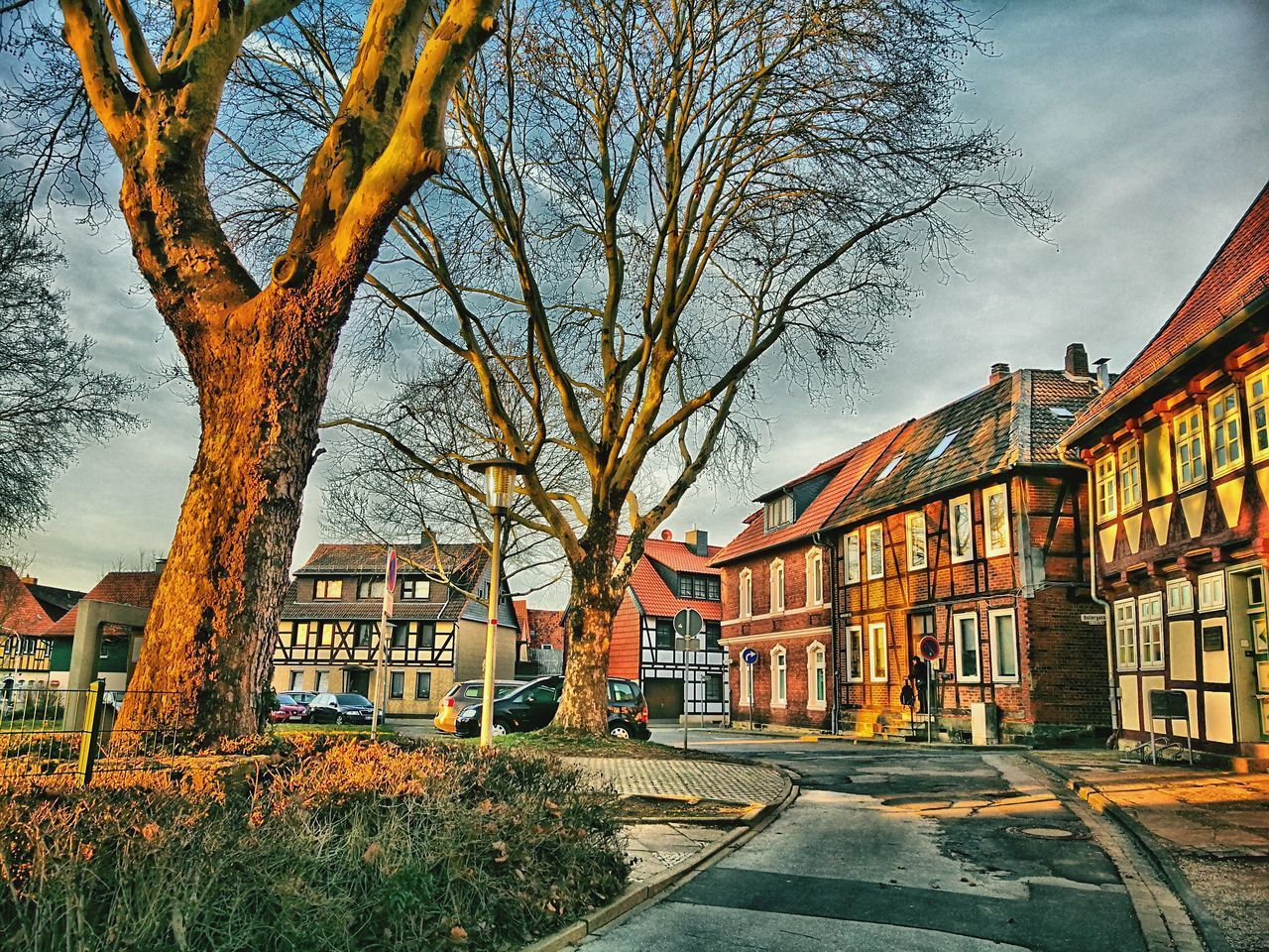 BARE TREES BY BUILDINGS AGAINST SKY