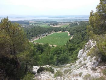 High angle view of trees on landscape against sky