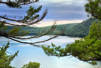 Scenic view of lake by trees against sky