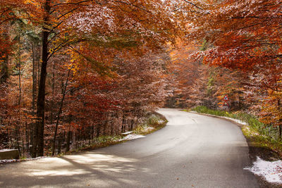 Road amidst trees during autumn