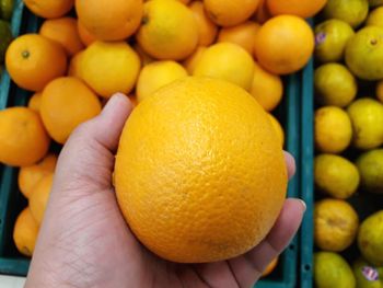 Close-up of hand holding orange fruit in market