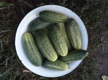 High angle view of vegetables in container