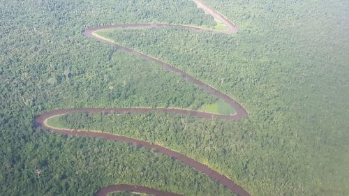 High angle view of kite on road
