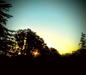 Silhouette trees against sky at sunset