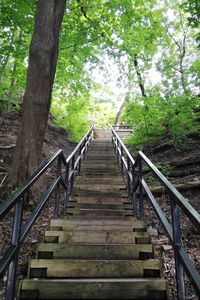 Low angle view of staircase in forest