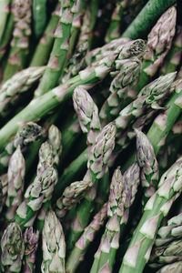 Full frame shot of vegetables for sale in market