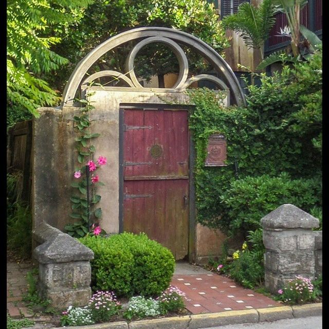 plant, built structure, architecture, building exterior, potted plant, growth, house, door, entrance, arch, tree, flower, green color, stone wall, ivy, day, closed, old, outdoors, no people