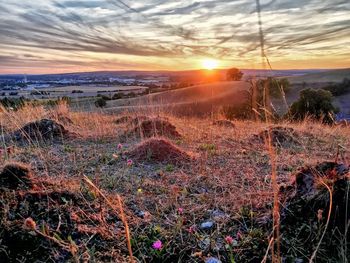 Scenic view of field against sky during sunset