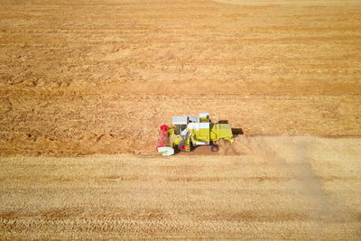 Harvester combine working in the field