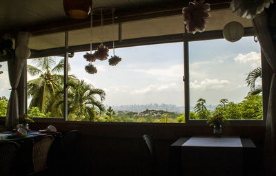 Trees against cloudy sky