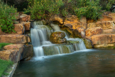 Scenic view of waterfall in forest