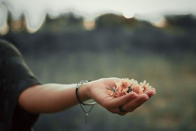 Close-up of woman hand holding outdoors