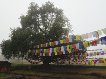 Multi colored umbrellas hanging by tree against sky