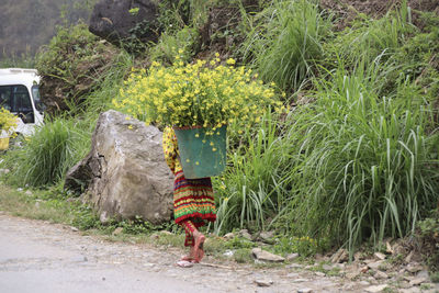 Rear view of a person walking on road