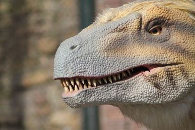 Close-up of dino