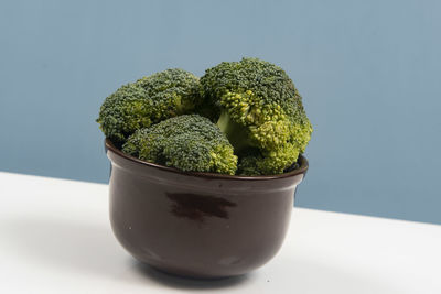 Fresh raw broccoli in pot isolated. front view