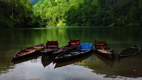 Boats moored on lake against trees