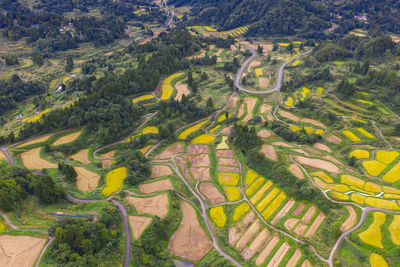 High angle view of agricultural field