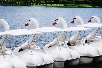 View of swans floating in sea