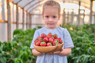 Portrait of boy holding strawberries