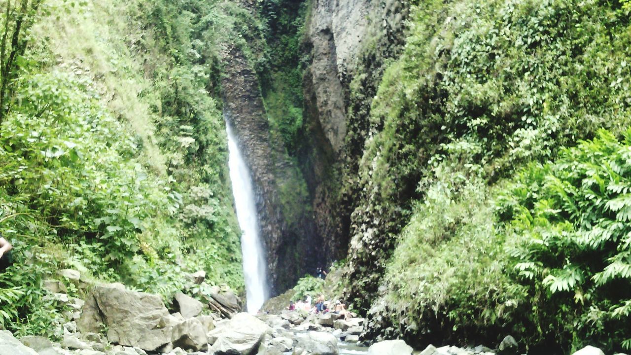 waterfall, water, flowing water, beauty in nature, nature, scenics, rock - object, motion, forest, green color, plant, flowing, growth, moss, tranquility, tranquil scene, tree, stream, long exposure, rock